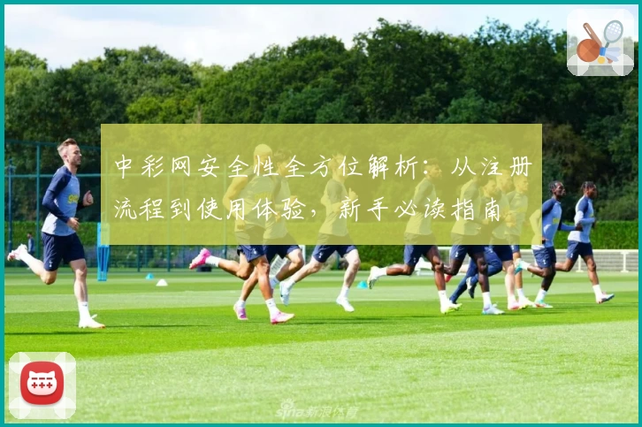 中彩网安全性全方位解析：从注册流程到使用体验，新手必读指南