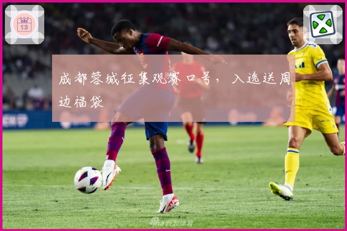 成都蓉城征集观赛口号，入选送周边福袋