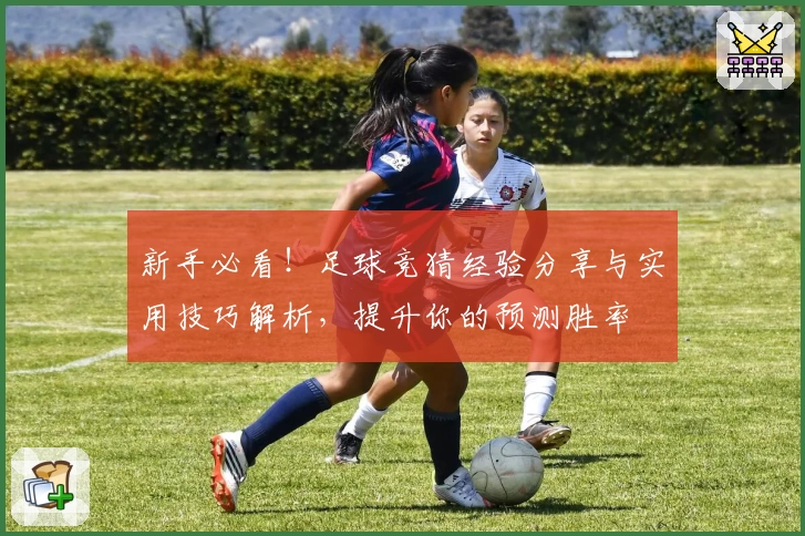 新手必看！足球竞猜经验分享与实用技巧解析，提升你的预测胜率