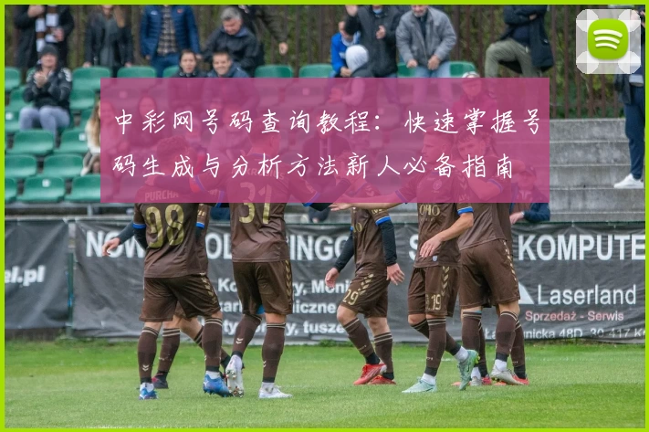 中彩网号码查询教程：快速掌握号码生成与分析方法新人必备指南