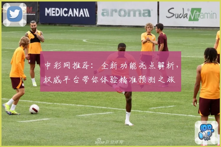 中彩网推荐：全新功能亮点解析，权威平台带你体验精准预测之旅