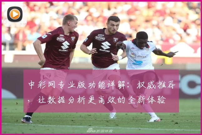 中彩网专业版功能详解：权威推荐，让数据分析更高效的全新体验