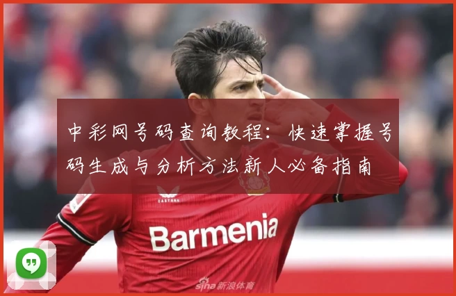 中彩网号码查询教程：快速掌握号码生成与分析方法新人必备指南