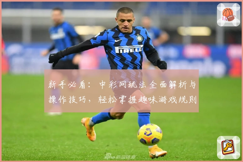 新手必看：中彩网玩法全面解析与操作技巧，轻松掌握趣味游戏规则
