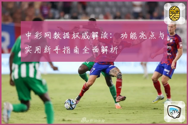 中彩网数据权威解读：功能亮点与实用新手指南全面解析