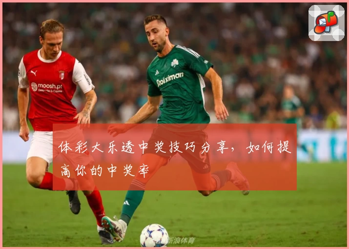 体彩大乐透中奖技巧分享,如何提高你的中奖率