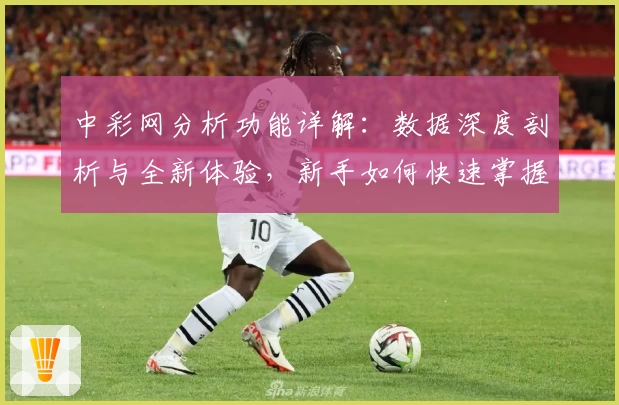 中彩网分析功能详解：数据深度剖析与全新体验，新手如何快速掌握基础操作