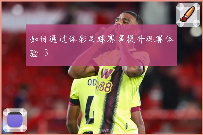 如何通过体彩足球赛事提升观赛体验_3